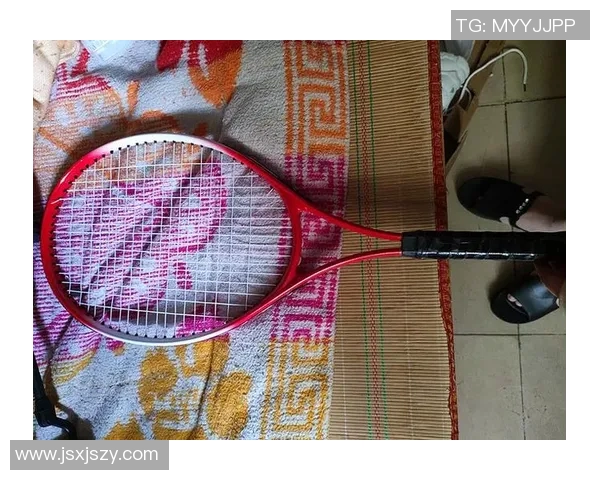 赵丽独家分享网球心得与技巧助你提升球技的完美指南