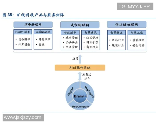 深圳排球队战术分析与发展策略探讨助力球队提升竞技水平